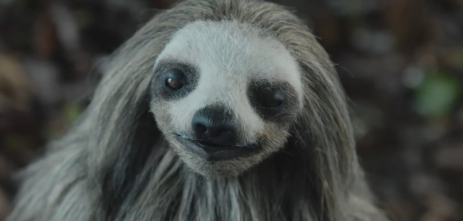 Rabid Jews Label Helpless Retarded Girl “Antisemite of the Week” for Complaining About Incinerated Toddlers